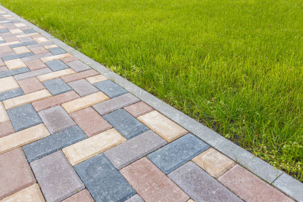 Best Driveway Paving Contractor  in Niagara, WI